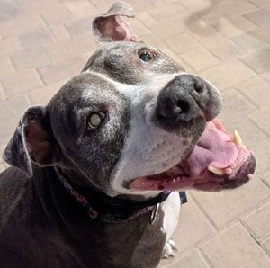 Meet your Posher, Amber